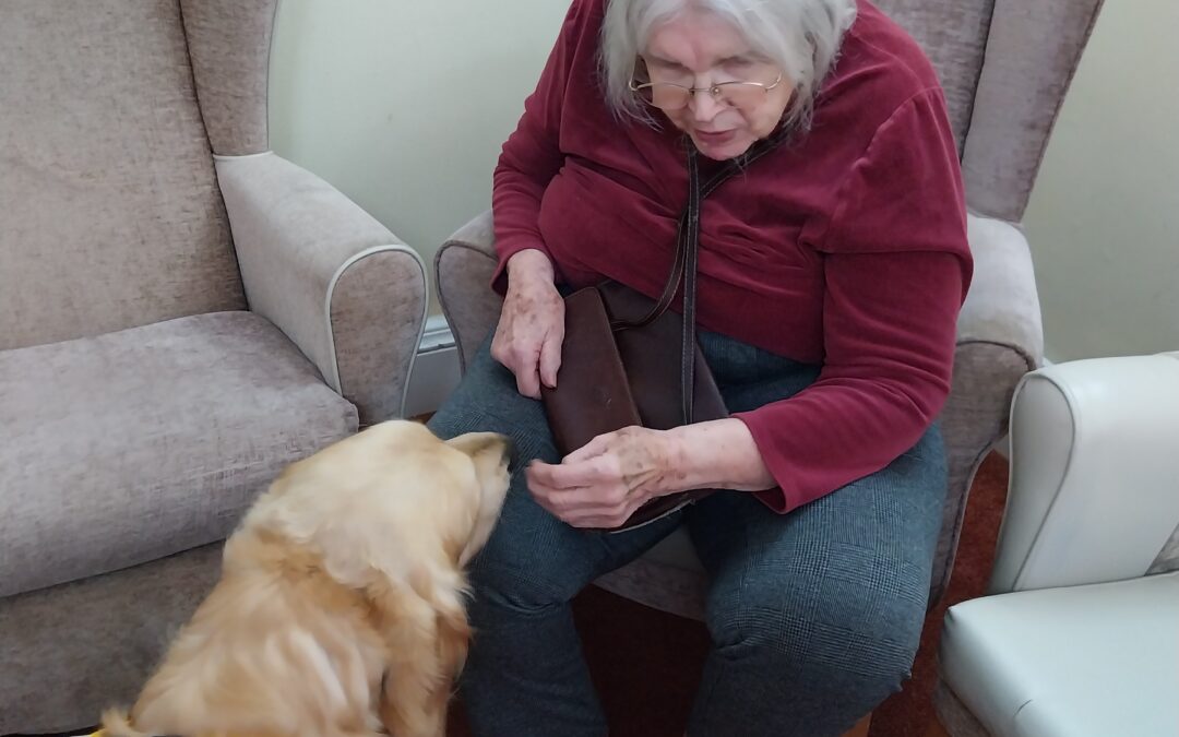 A Paws-itive Visit from Bimble the Therapy Dog